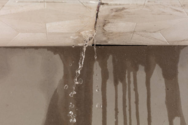 Professional Water Damage Repair technician working in Viola, IL